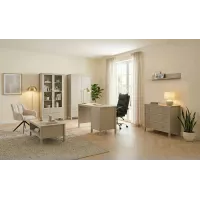 Mobilier Ofiice Scandinav Kleo