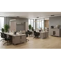 Amenajare Office Kleo