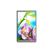 Dulap Print 2 Usi 1983, L100 x H220 x A60