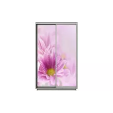 Dulap Print 2 Usi 1784, L100 x H220 x A60