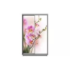 Dulap Print 2 Usi 1482, L100 x H220 x A60