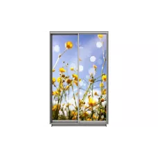 Dulap Print 2 Usi 1557, L100 x H220 x A60
