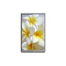 Dulap Print 2 Usi 2022, L100 x H220 x A60