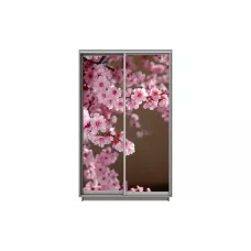 Dulap Print 2 Usi 2033, L100 x H220 x A60