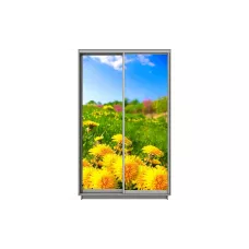 Dulap Print 2 Usi 2038, L100 x H220 x A60