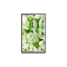 Dulap Print 2 Usi 2064, L100 x H220 x A60