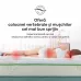 Saltea Aloe Vera Therapy